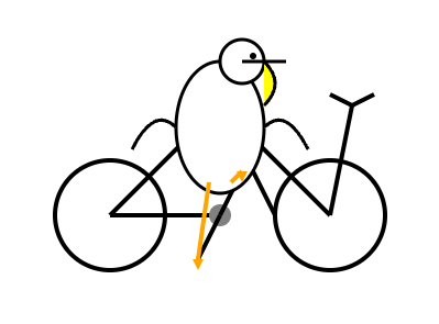 A pelican SVG